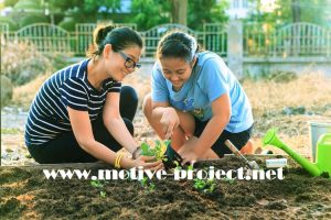 Berkebun Dipekarang Rumah Mendatangkan Banyak Keuntungan